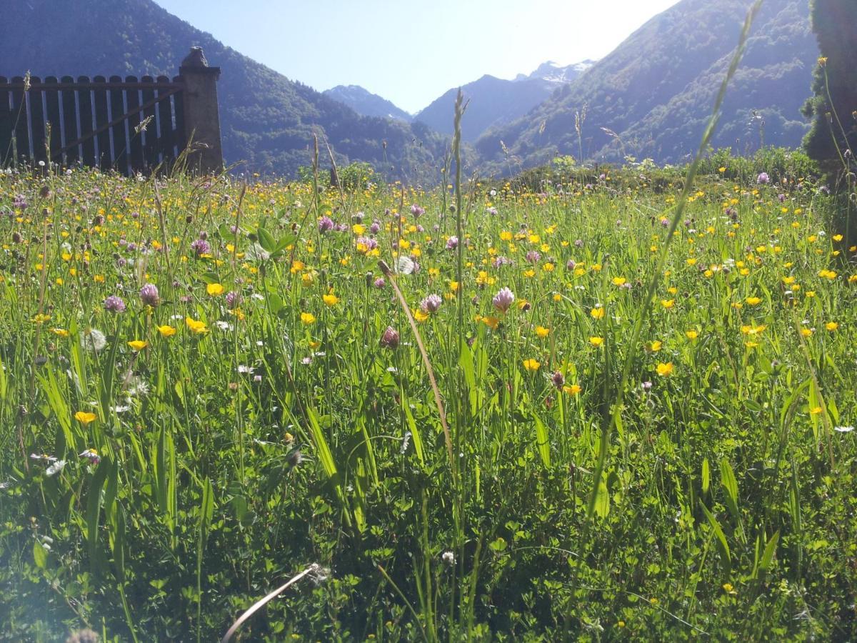 Le Clot De La Hount Bed and Breakfast Cauterets Buitenkant foto